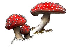 Poison 3: Toadstools