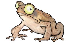 Poison 4: Some Actual Toads