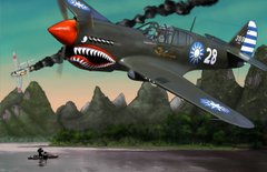 Flying Tiger