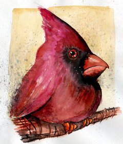 Cardinal 