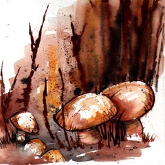 Mushrooms in Brown
