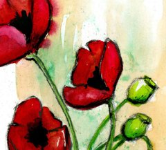 Poppies